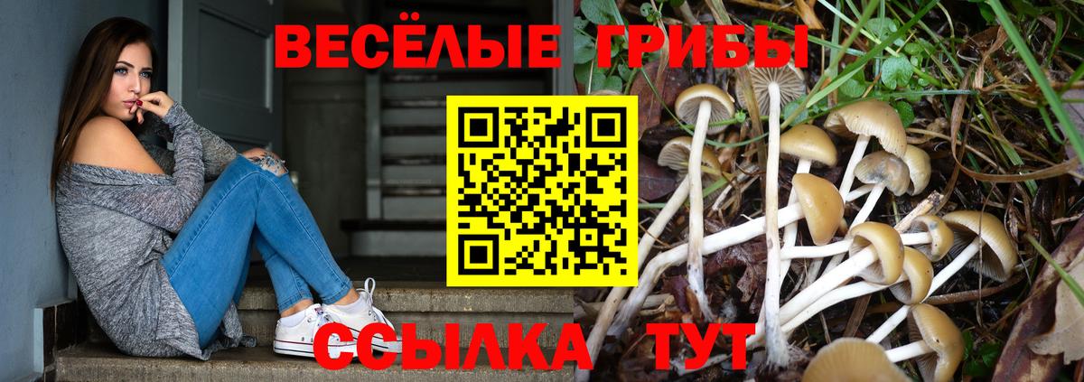 Псилоцибиновые грибы прущие грибы Новоуральск