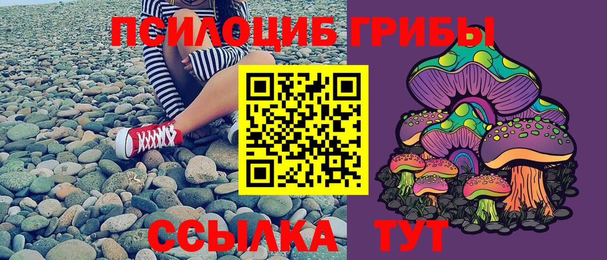 Новоуральск  Галлюциногенные грибы мухоморы  Вход с VPN  Псилоцибиновые грибы прущие грибы 